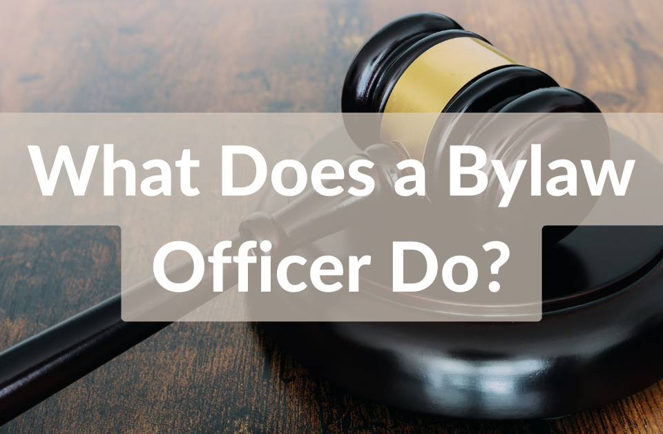 What does a bylaw officer do?