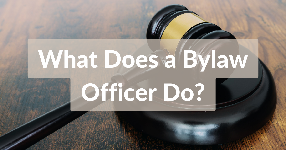 What does a bylaw officer do?